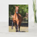 Suche nach tekst karten Pferd