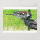 Suche nach feeder postkarten Natur