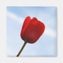 Suche nach roter himmel magnete Natur