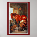 Suche nach pflug poster Tiere