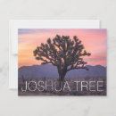 Suche nach joshua tree postkarten Natur