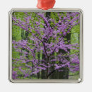 Suche nach frühling ornamente Landschaft