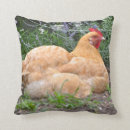 Suche nach huhn kissen Land