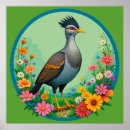 Suche nach exotische vögel poster Farbenfroh