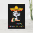 Suche nach cinco karten Bunt