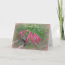 Suche nach blumen lesezeichen Rosa
