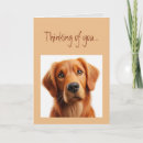 Suche nach trauriger hund karten Denken sie