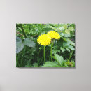 Suche nach kräuter leinwandbilder Natur