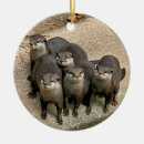 Suche nach otter ornamente Fluss