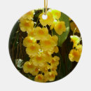 Suche nach orchideen blume ornamente Gelb
