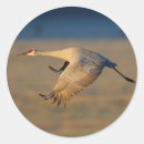 Suche nach kran aufkleber Tier