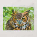 Suche nach hornhaut poster Wildtiere