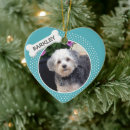 Suche nach knochen ornamente Hund