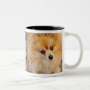 Suche nach hundekaffee tassen Getränk