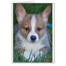 Suche nach waliser postkarten Pembroke