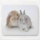 Suche nach zwei tiere mousepads Freundschaft