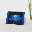Suche nach beauty karten Blau
