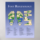 Suche nach meridiane poster Reflexologie