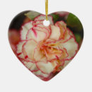 Suche nach saisonal ornamente Blume