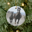 Suche nach wildpferde ornamente Pferdeliebhaber