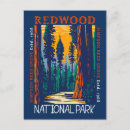 Suche nach redwood national park postkarten Rotholz nationalpark
