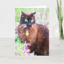 Suche nach havana karten Havanna