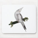 Suche nach cockatiel mousepads Vogel