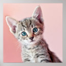 Suche nach blaues mit augen poster Junges tier