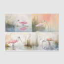 Suche nach spoonbill Aquarell