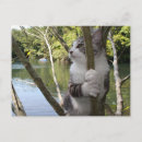 Suche nach 猫 poster ねこ