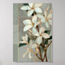 Suche nach weiße magnolie poster Magnolienblüte