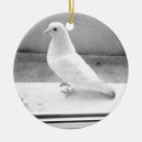 Suche nach taube ornamente Jahr