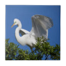 Suche nach niemand fliesen Umwelt