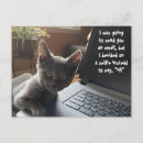 Suche nach selfie postkarten Katze