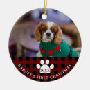 Suche nach roter hund ornamente Dogs