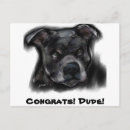 Suche nach staffordshire postkarten Terrier