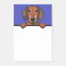 Suche nach lustiger hund post it Welpe