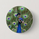 Suche nach pfau buttons Schwanz