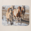 Suche nach pferde schnee decken Quarter horse