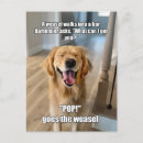 Suche nach barkeeper postkarten Hund