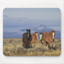 Suche nach gruppe mousepads Fauna