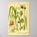 Suche nach essen sie ihr gemüse poster Illustration
