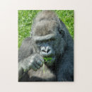 Suche nach gorillas puzzle Primate