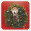 Suche nach shiba inu hund aufkleber Weihnachten