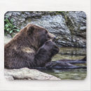 Suche nach grizzlybär mousepads Graubär