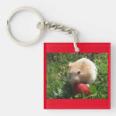 Suche nach hammie Hamster