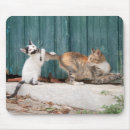 Suche nach schwanz mousepads Katze