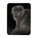 Suche nach felle magnete Niedlich