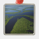 Suche nach amazonas ornamente Regenwald