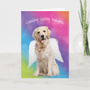 Suche nach haustier beileid Regenbogen